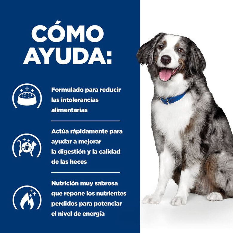 Hill's Prescription Diet Digestive Care i/d pienso para perros, , large image number null
